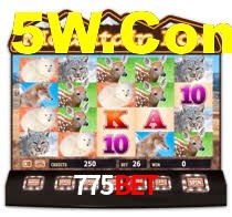 775Bet: Seu Cassino Premiado com Pagamentos Rápidos
